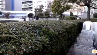 日韩精品国产精品高清,成人视频高清免费观看